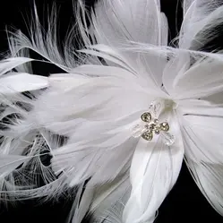 1. AR65284 - AVAILABLE IN BLACK & WHITE thumbnail