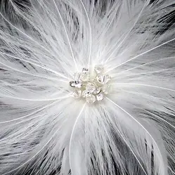 1. AR64751 - AVAILABLE IN BLACK & IVORY thumbnail